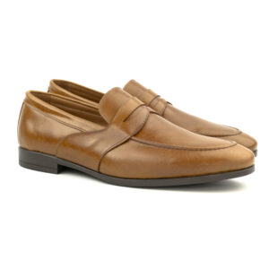 8771 camel1